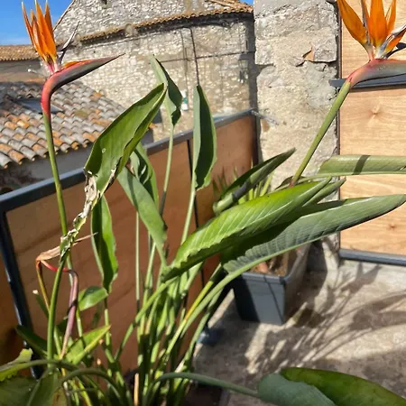 Holiday home Charme Et Confort Sainte-Valiere