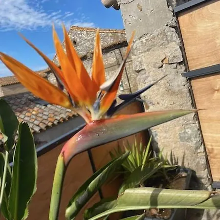 Charme Et Confort Holiday home Sainte-Valiere