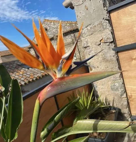 Charme Et Confort Holiday home Sainte-Valiere